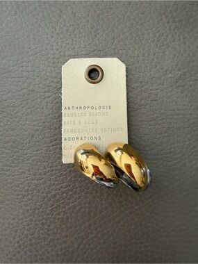 Anthropologie Mixed Metal Dome Hoop Earrings